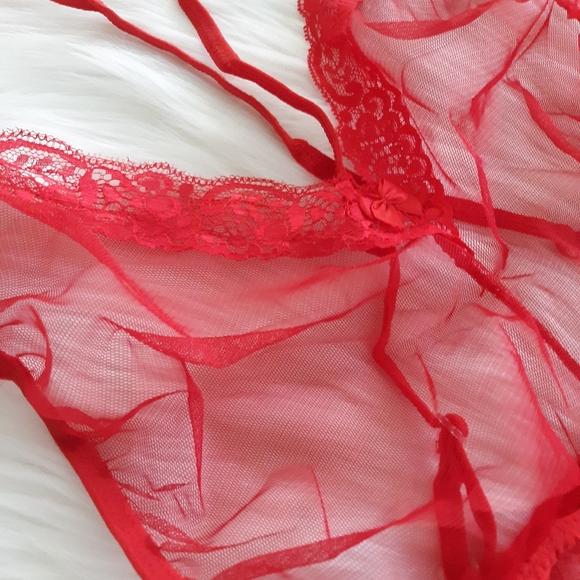 NWT Sheer Teddy - Picture 3 of 3